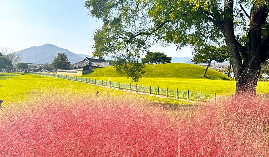 Y Collection by Unboundi Gyeongju