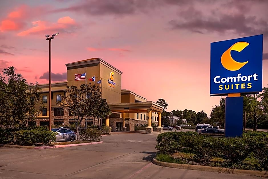 Comfort Suites Spring