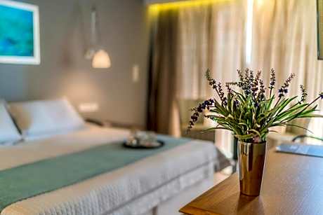 Executive Suite with Sea View-Private Pool and Sauna