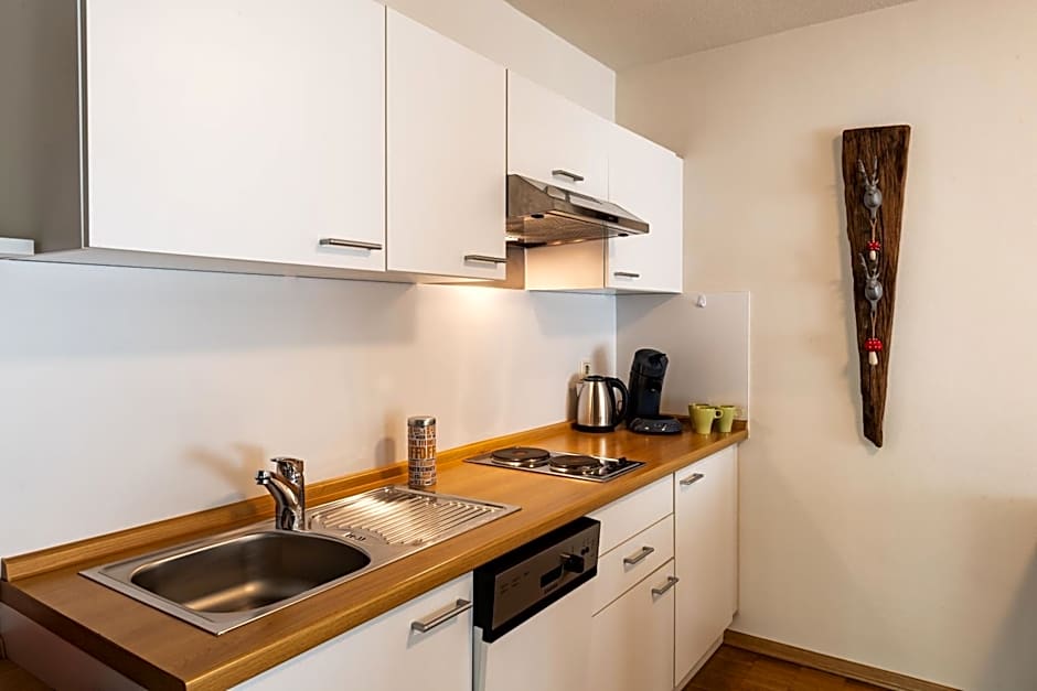 Apparthotel Steiger Bad Schandau
