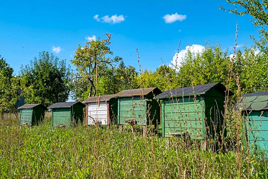 Siedlisko Leszczewek