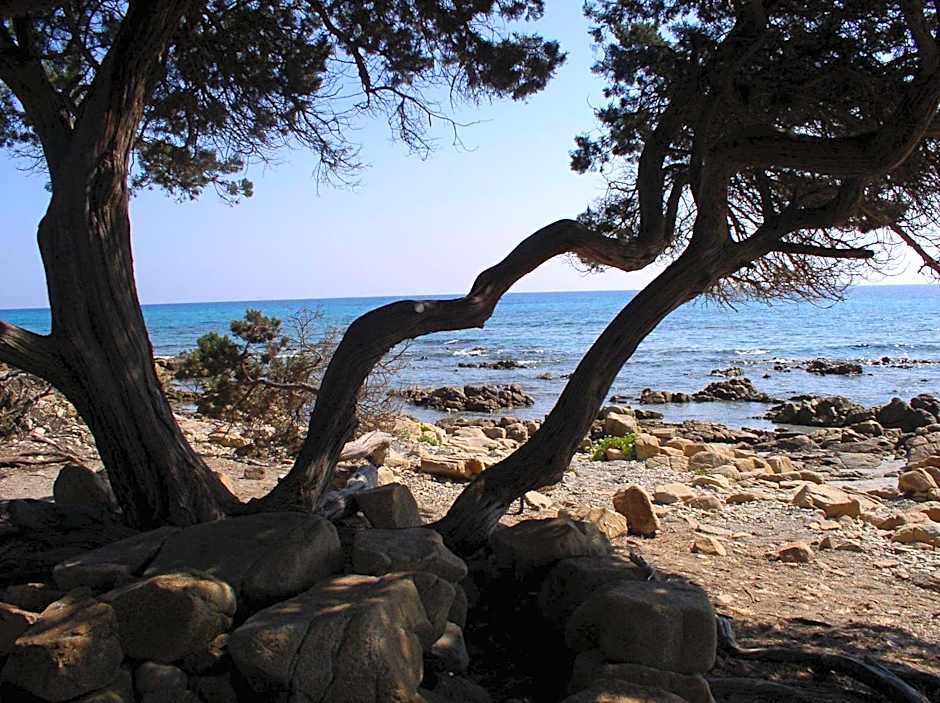 Residence Marina Palace