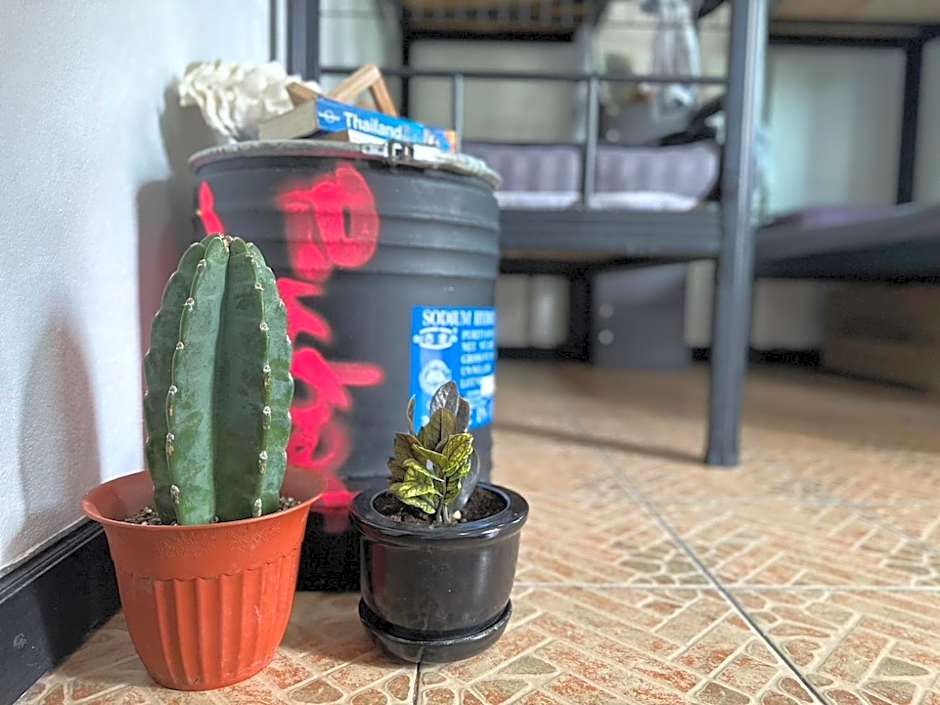 U Hostel Koh Phangan