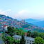 The Nettle & Fern Hotel In Gangtok