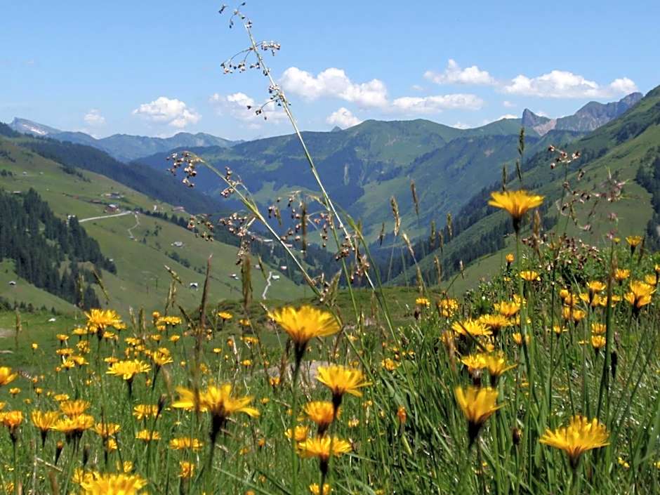 Boutiquehotel Hohes Licht