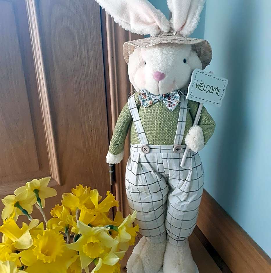 Jordan's Drum Haven B&B, Knock