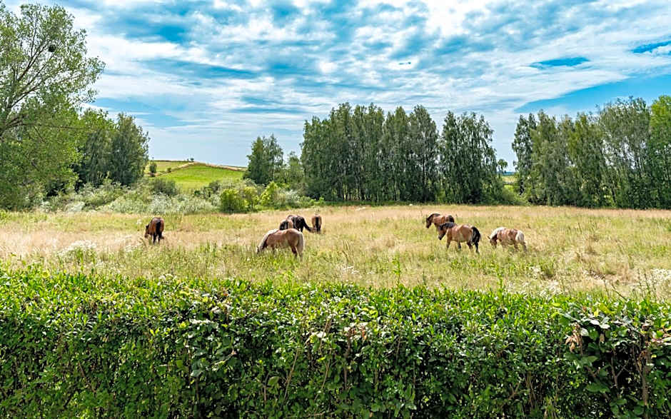 Domek VICTORIA z wiejskim SPA