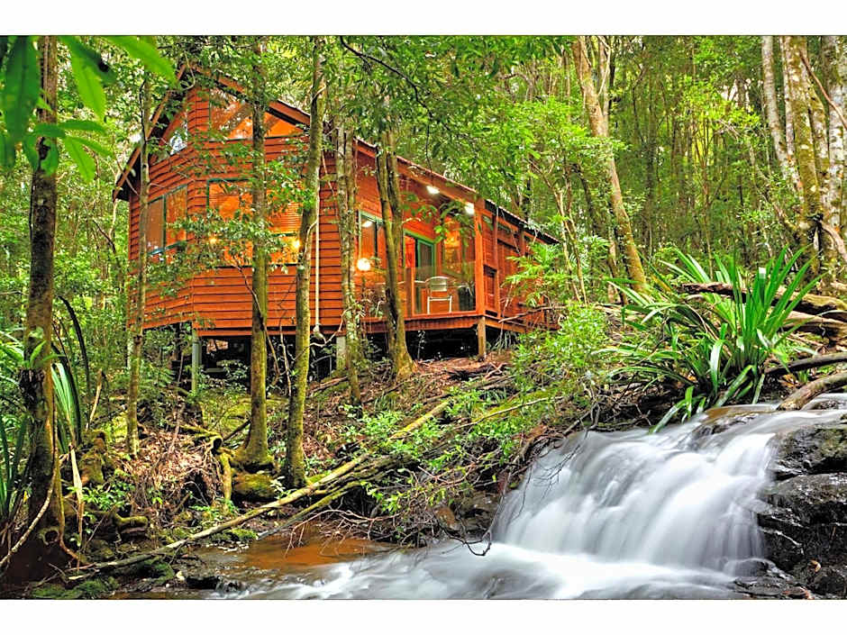 Photo 1 of 50 of The Mouses House Rainforest Retreat