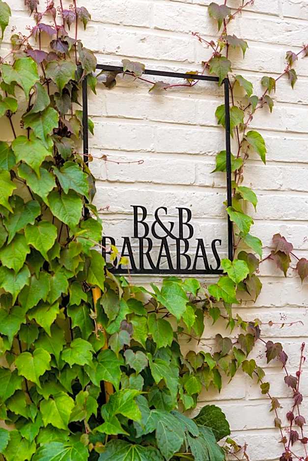 B&B Barabas