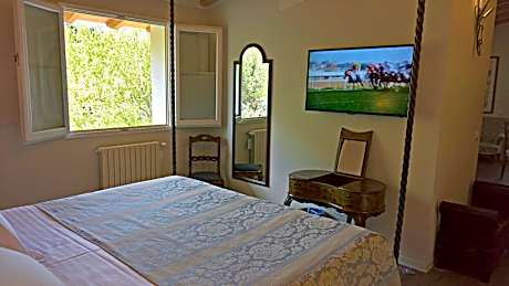 Junior Suite with Terrace