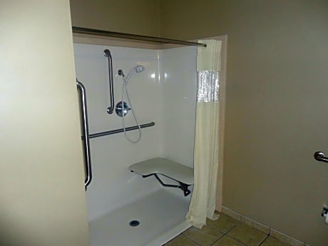 King Room with Roll-In Shower - Disability Access