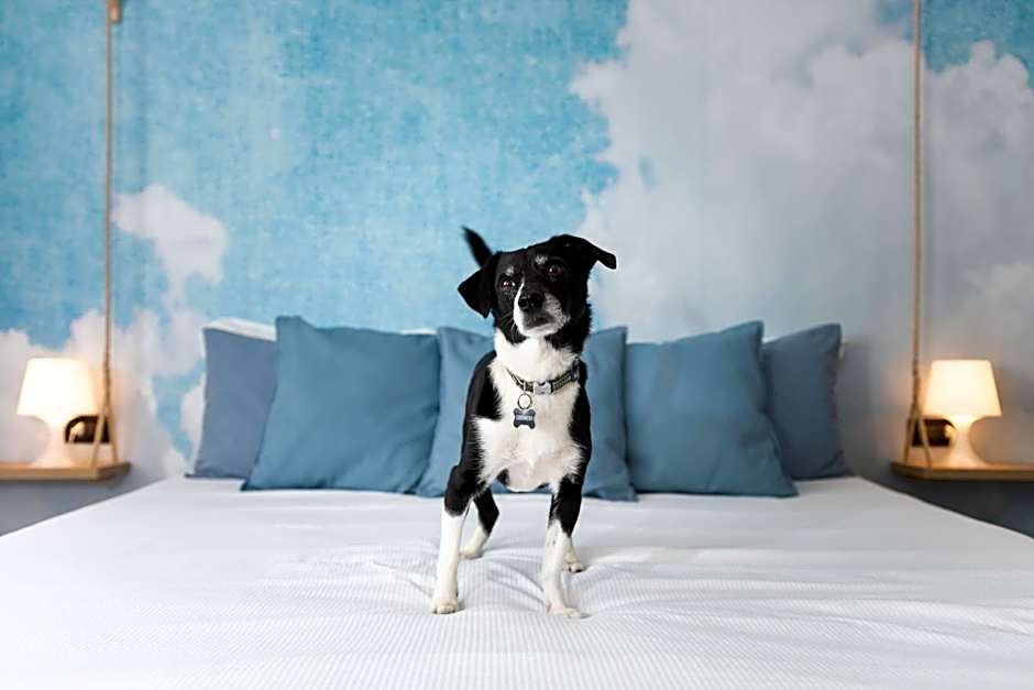 Francis Superior Rooms