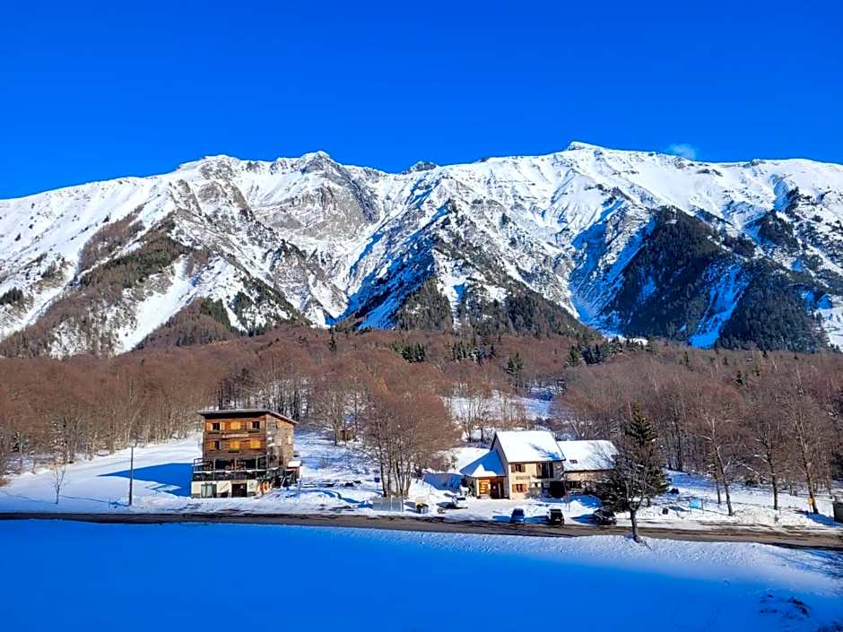 LE CHAMOIS