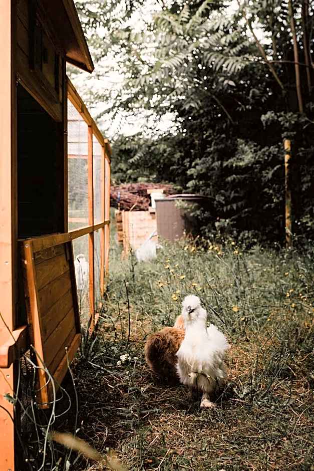 Hotel Restaurant La Musardiere