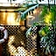 Pinctada McAlpine House