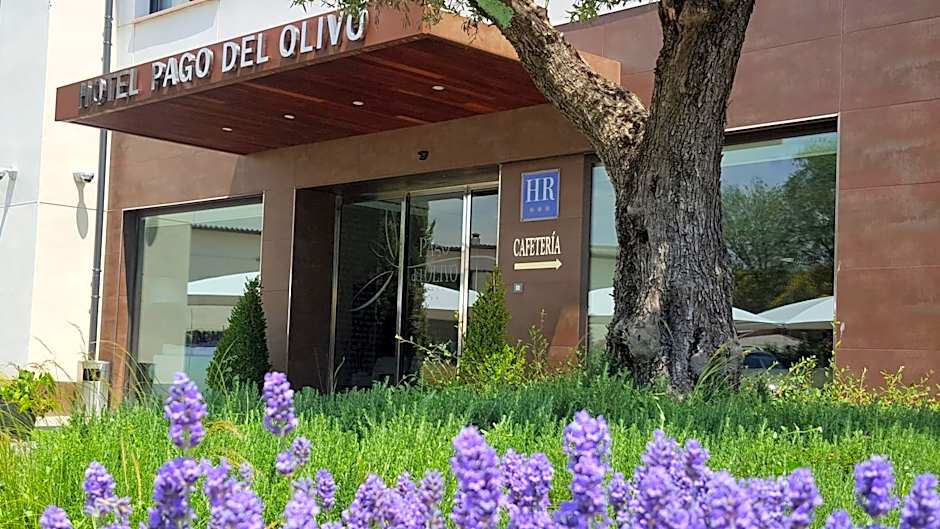 Hotel Pago del Olivo