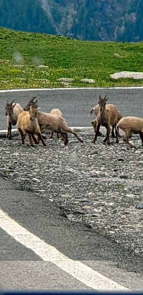 Antica casa occitana