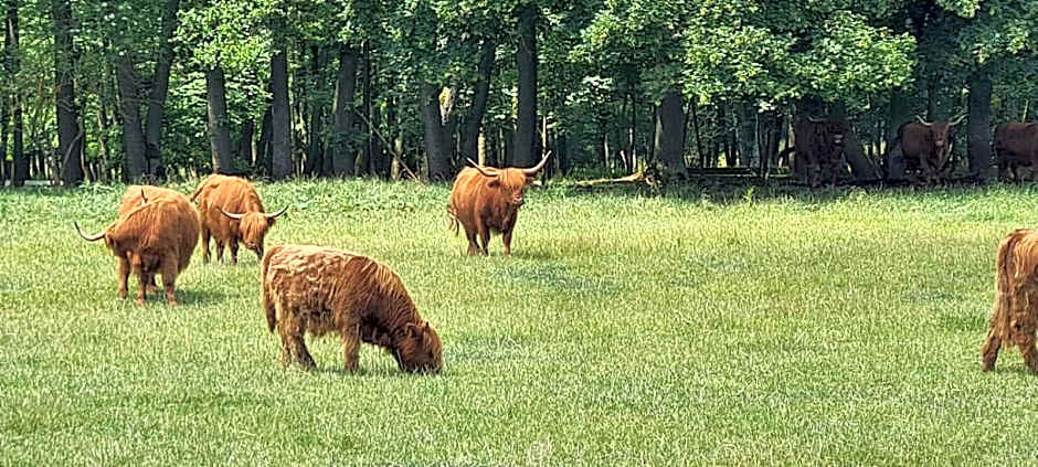 Chata Makarovo-Děpoltovice