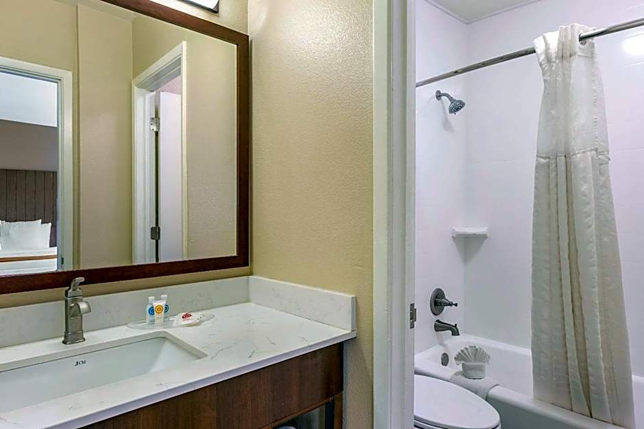 Photo 1 of 14 of 1 King Bed Suite