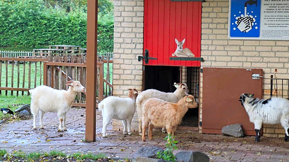 Het Huys Ewijk mooi luxe en een laadpaal