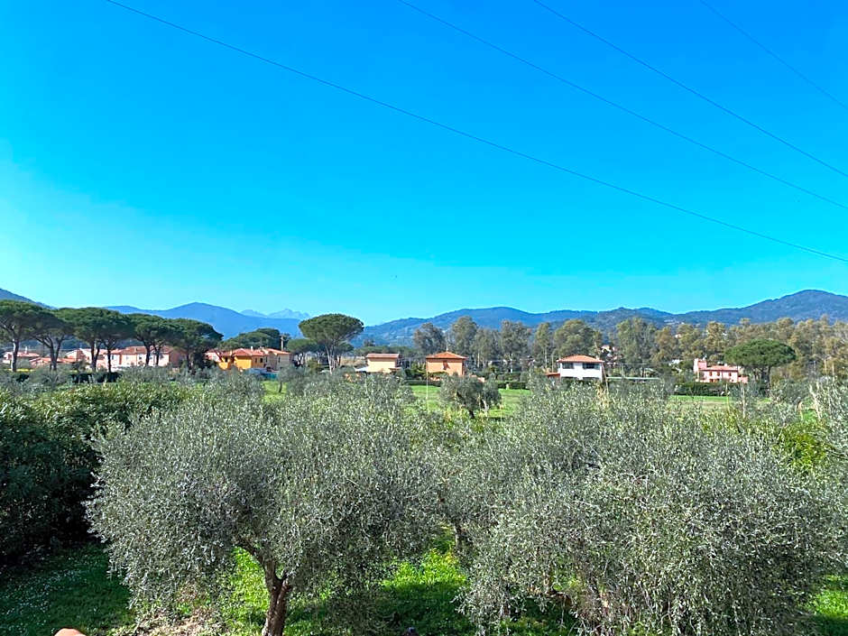 RESIDENCE TERME ISOLA D'ELBA SRL