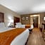 Comfort Inn Binghamton I-81