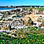 Belambra Clubs Saint-Jean-de-Monts - Les Grands Espaces