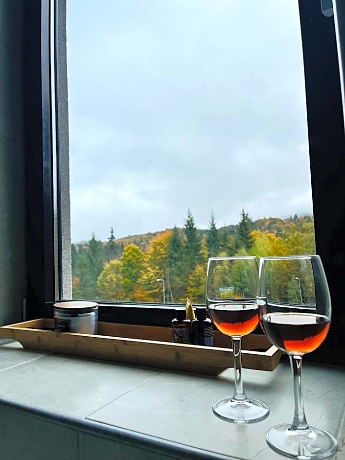 Mountain Nest in Silver Mountain Poiana Brasov