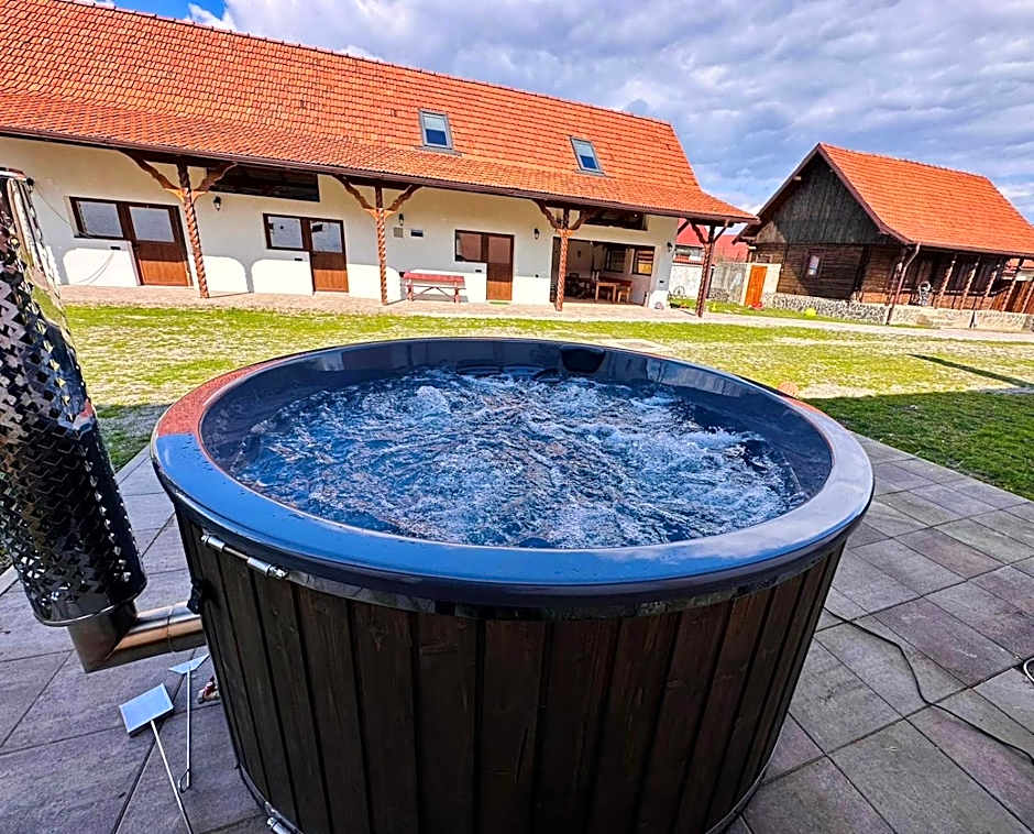 Casa de Lemn Arpasu de jos