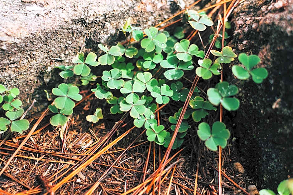 Holiday Inn Express Surprise By IHG