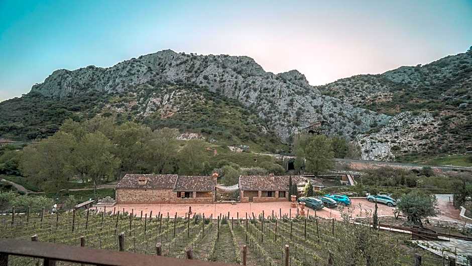 Eco Hotel Cueva del Gato