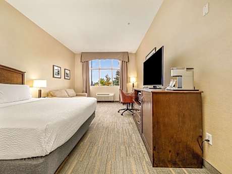 Standard King Room with Sofa Bed