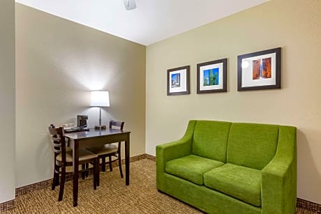 1 King Bed  Suite  No Smoking