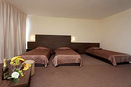 Double Room with Balcony and Park View (2 Adults + 1 Child up to 11.99 years old)