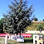 Hotel Vejo