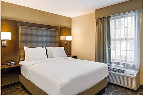 1 Queen Bed, Nonsmoking, Accessible