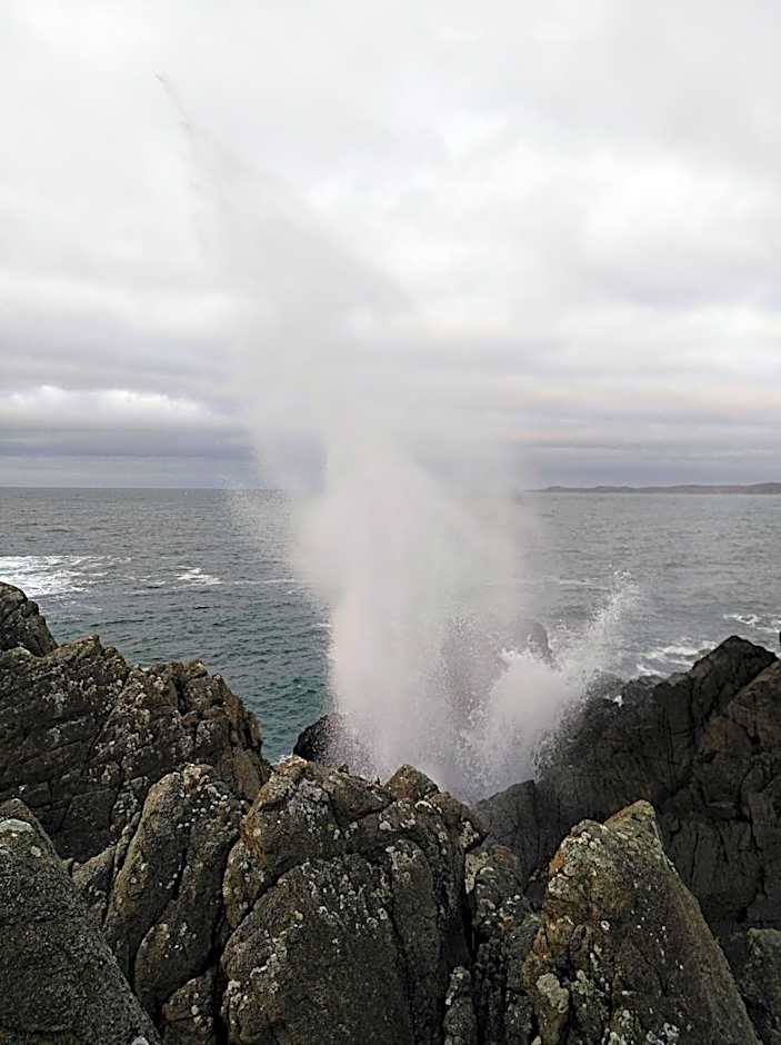 Madra Rua Organic Accommodation