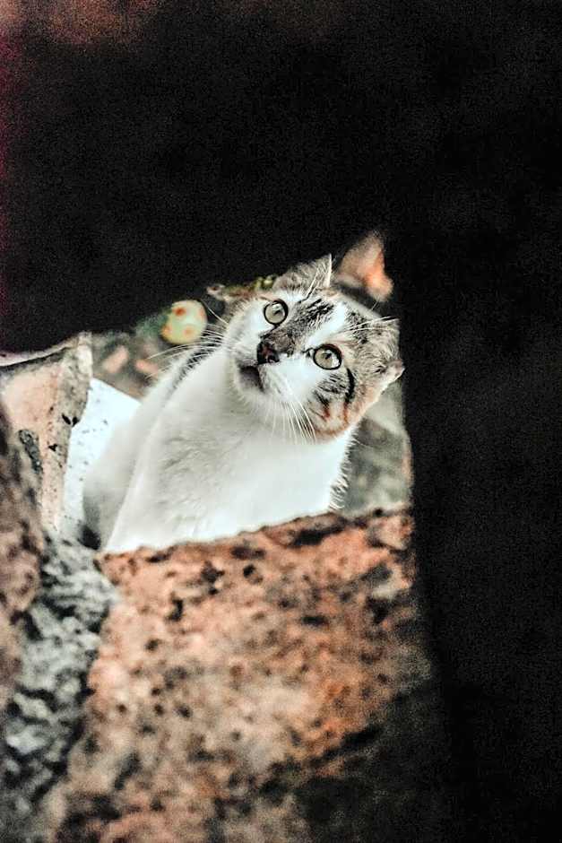 Hosteria Chata Adults Only