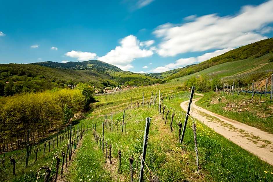 Chambre du Vigneron - Domaine Léon BLEESZ