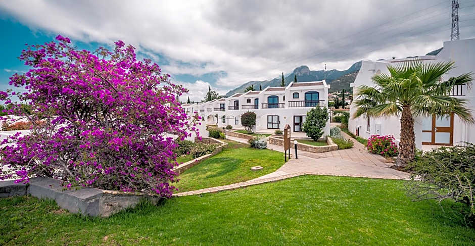 The Olive Tree Hotel