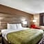 Quality Inn Cedar Rapids South
