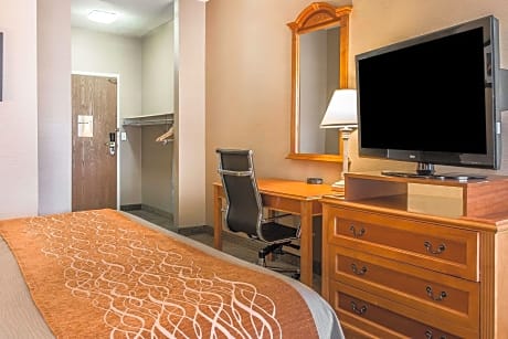 1 King Bed, Business Room, Nonsmoking, Accessible