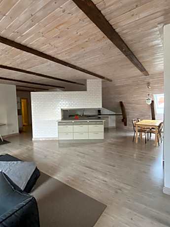 Penthouse Apartment