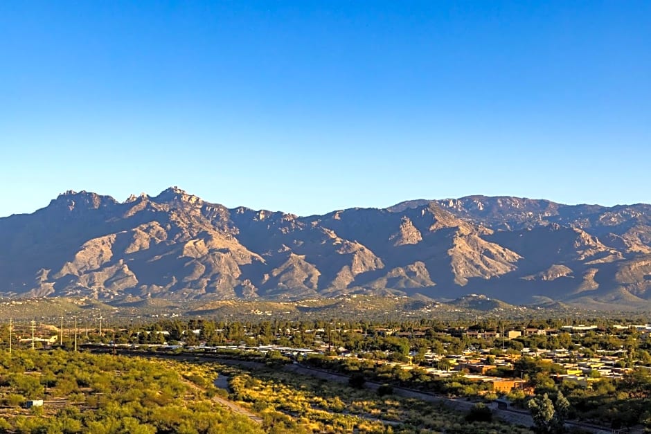 Hilton Tucson East