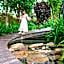 Vivace Khaoyai