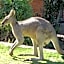 The Grampians Motel