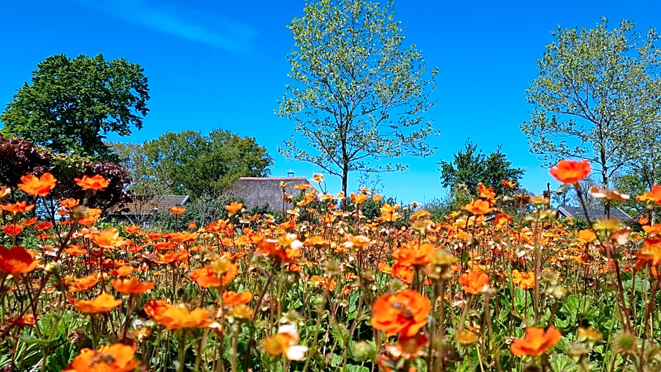 De Tuinschuur