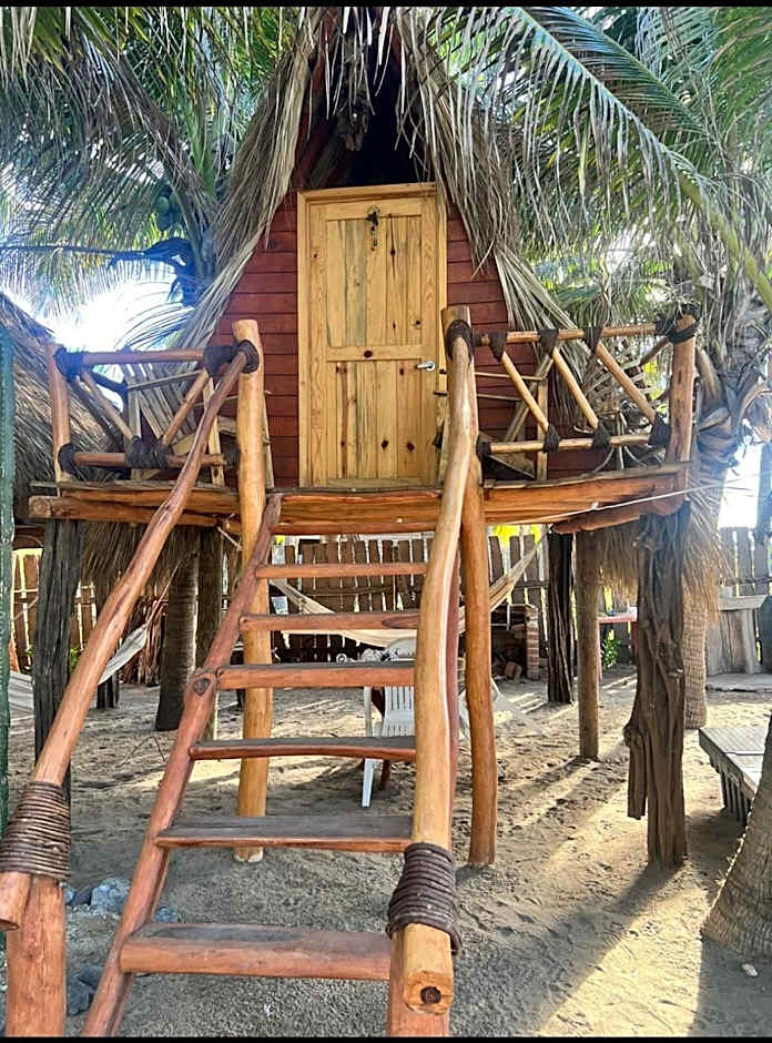 Casa Lians