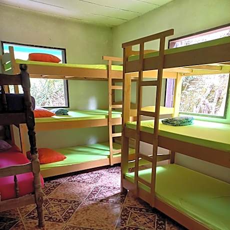 8-Bed Mixed Dormitory Room