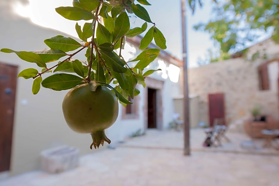 Oinoessa Traditional Boutique Houses